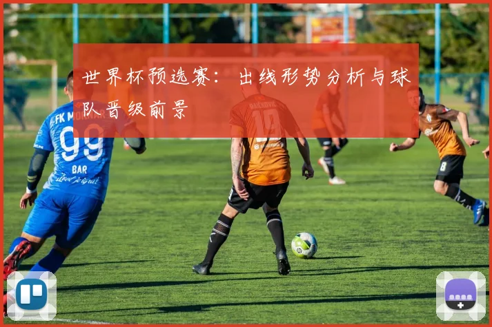 世界杯预选赛：出线形势分析与球队晋级前景